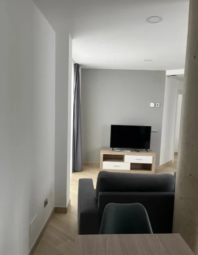 Salón con televisión y sofá en apartamento